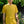 Load image into Gallery viewer, Male model wears a golden yellow short sleeve crew neck T-shirt 

